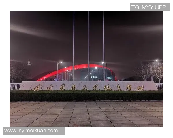 足球明星齐聚南京 打造世界级体育盛宴 引领城市体育新风潮